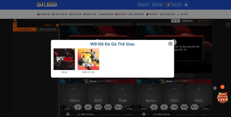 cá cược đá gà